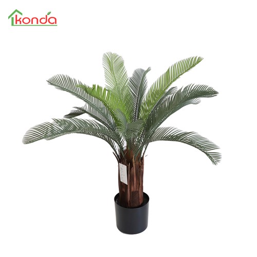 Pianta cycas artificiale - pianta,