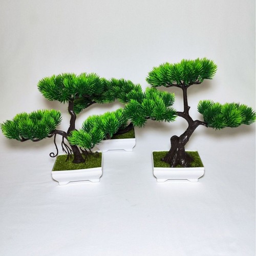 Bonsai pino finto in - bonsai,
