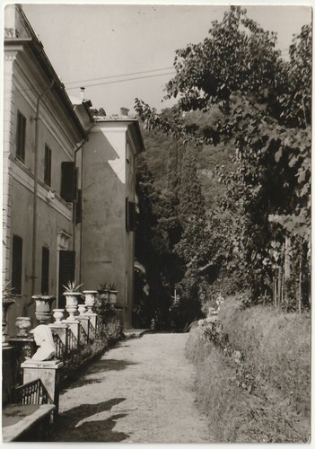 Grazie massa carrara - le,