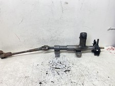 CANNA DELLO STERZO (PIANTONE)