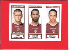 CALCIATORI 2010-11 Panini 2011