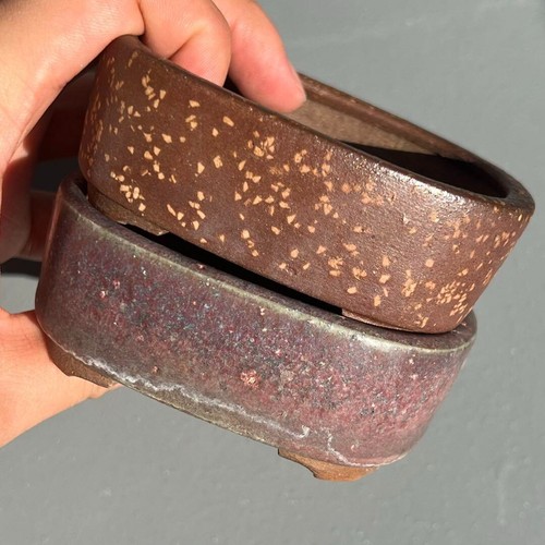 Vaso per bonsai giapponese