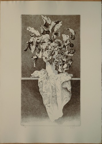 Angelo boni acquaforte - angelo,