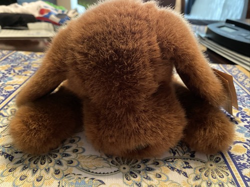 Peluche cane cucciolo applauso