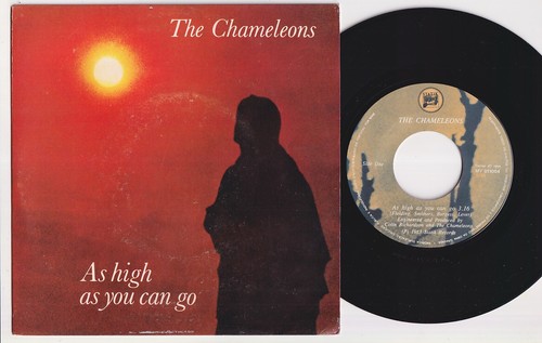 The chameleons high as - the,