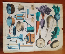 GERMANIA BAMBOLE DI CARTA