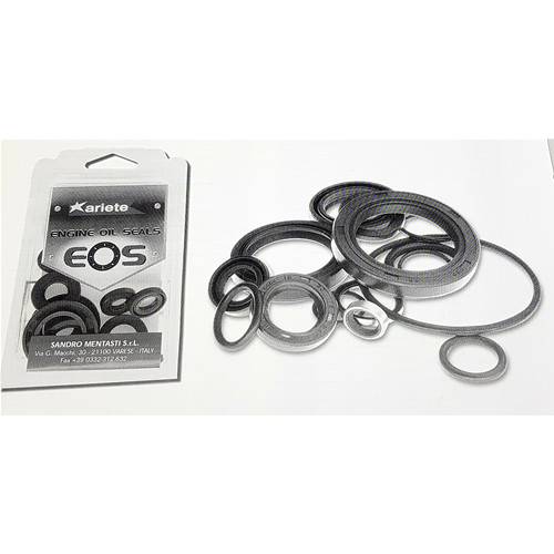 Kits paraoli motore - paraoli, moto