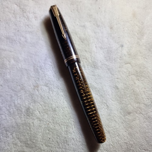 Penna stilografica parker - stilografica,