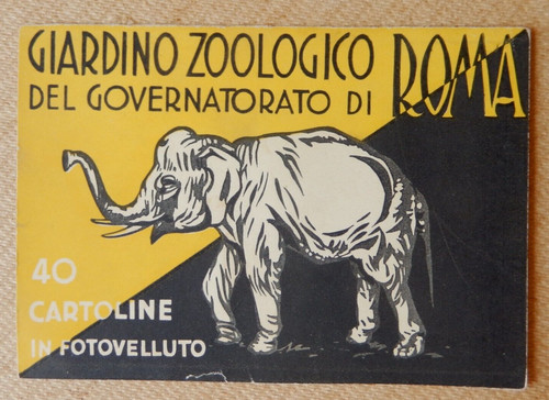 Curioso frontespizio giardino - curioso,