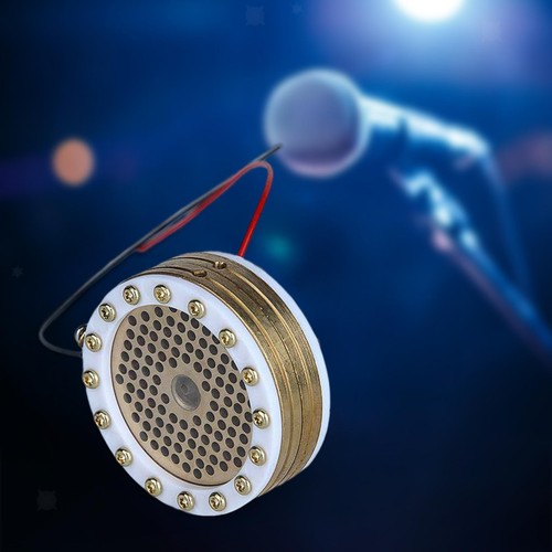 Capsule microphone à - de,
