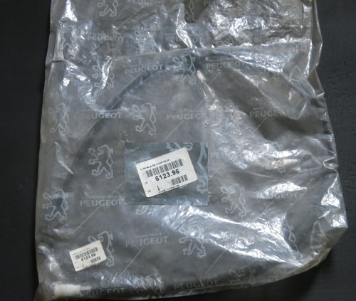 Tachowelle 1210mm peugeot 405 - tachowelle,