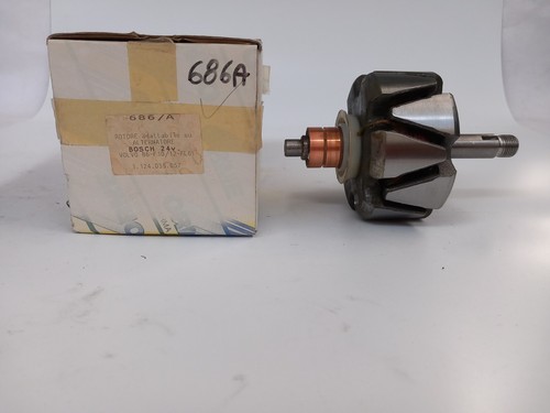 Rotore alternatore autocarro - rotore,