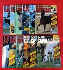 IL MIO CAVALLO - MAGAZINE Anno
