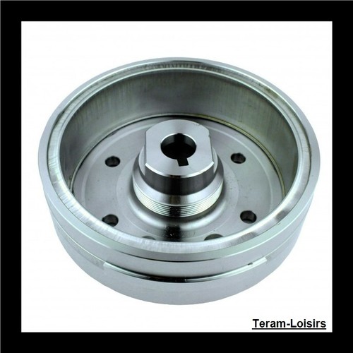 Rotor volant magnétique pour - magnétique,