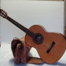 Chitarra Melody Guitars modello 325- Made in Italy