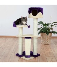 Tiragraffi Gatti Carla