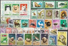 Animali lotto con blocco a
