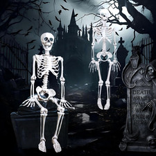 Decorazioni Halloween, 2 PCS Scheletro Halloween 40 Cm Articolato, Decorazioni H