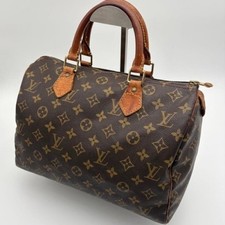 Louis Vuitton Boston Handbag