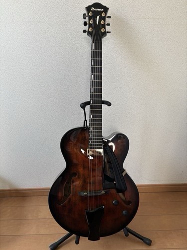 Chitarra elettrica acustica