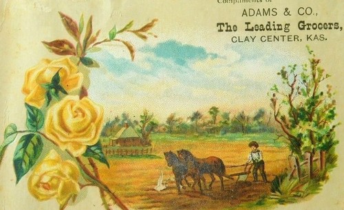 Adams leading grocers - &, co