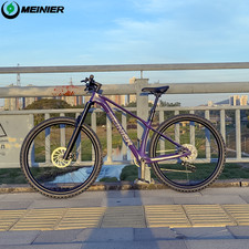 MTB in carbonio 29 pollici con