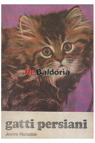 Gatti persiani encia - gatti,