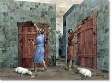 Sangue agnello pasquale - il,