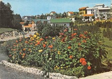 Cartolina - Campo di Giove -