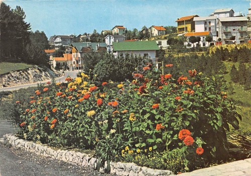 Cartolina campo giove - cartolina, di