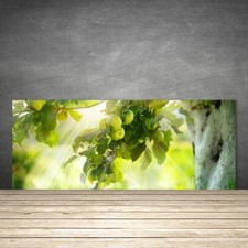 125x50 Paraschizzi in Vetro