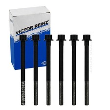 Victor Reinz Viti Testa