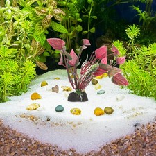  Fish Tank Decoration Lifelike