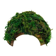 Scatola per rettili ornamento