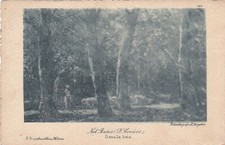 ARTE - Nel Bosco (D. Covacs)