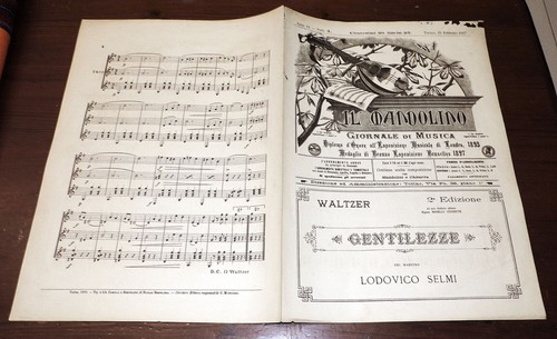 Mandolino del 1899 - il,