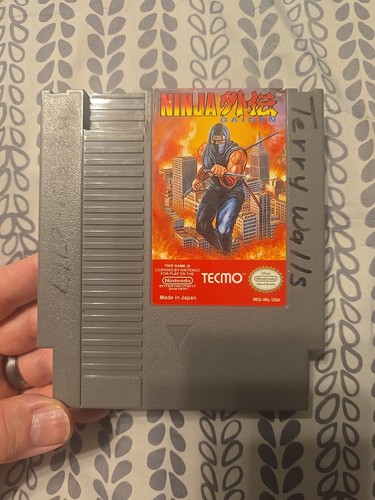 Ninja gaiden nintendo - ninja,