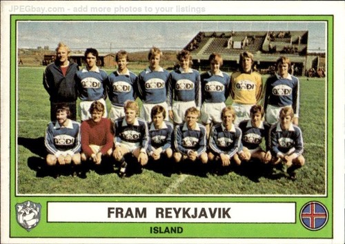 Figurina panini euro football - panini,