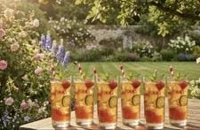 Pimm’s 12oz High Ball