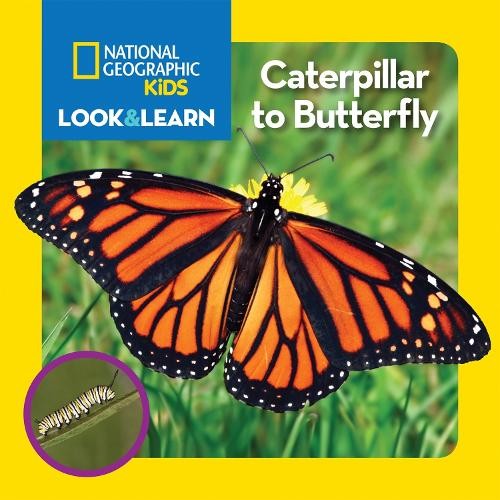 National geographic kids - geographic,