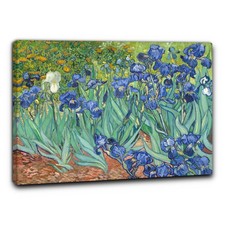 Niik Quadro gli iris di