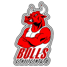 Adesivo basket logo Chicago