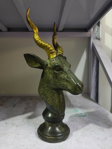 Rara statua corno testa - , di