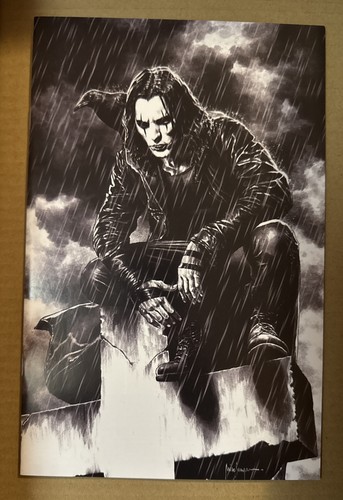 Idw the crow lethe - lethe, mico