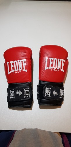 Guantoni boxe ambassador - guantoni,