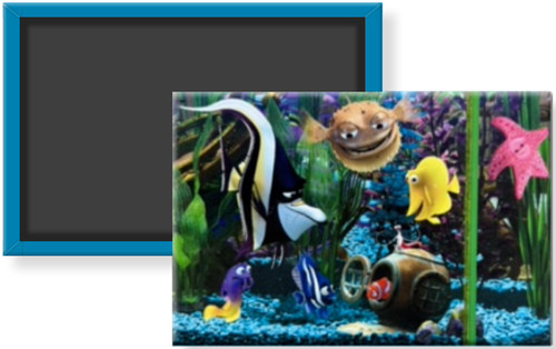 Trovare nemo fish - fish, gang
