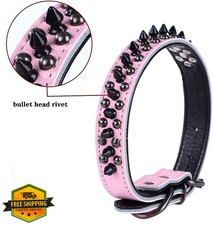 Serijoars Leather Spiked Dog