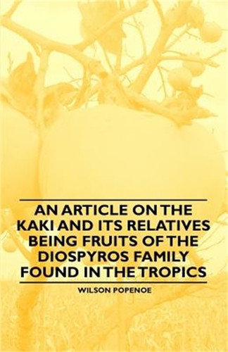 Article the kaki and its - the,