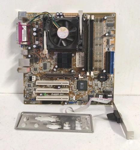 Scheda madre asus - madre,