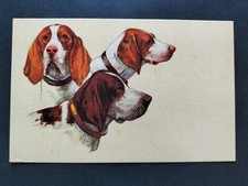CARTOLINA CANI ANNI 50 - 60